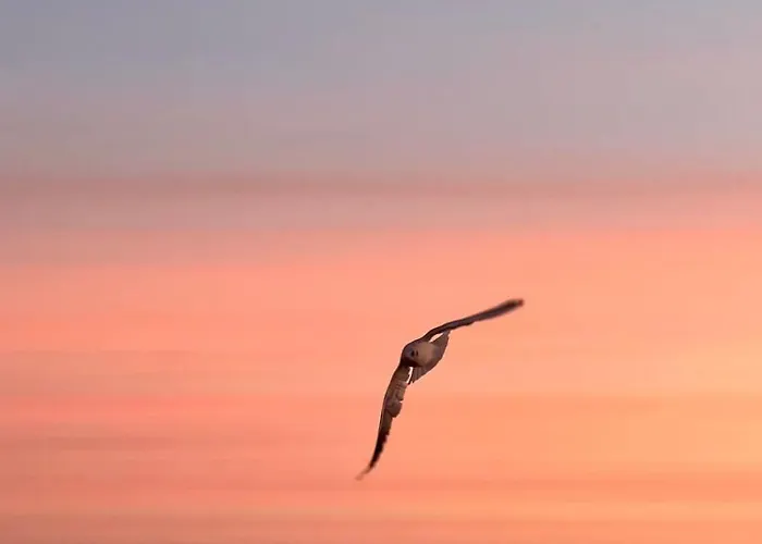 Lobster Im Nauticum By Interhome 아파트 루브민